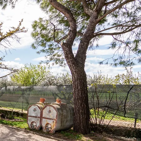 Sotto Le Stelle Bed & Breakfast Fano