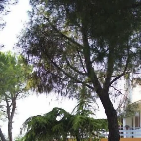 Bed & Breakfast Sotto Le Stelle Fano