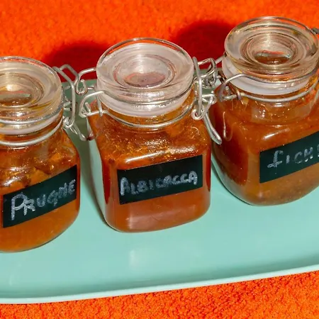 Sotto Le Stelle Bed & Breakfast