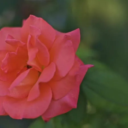 Frühstückspension Sotto Le Stelle 3*